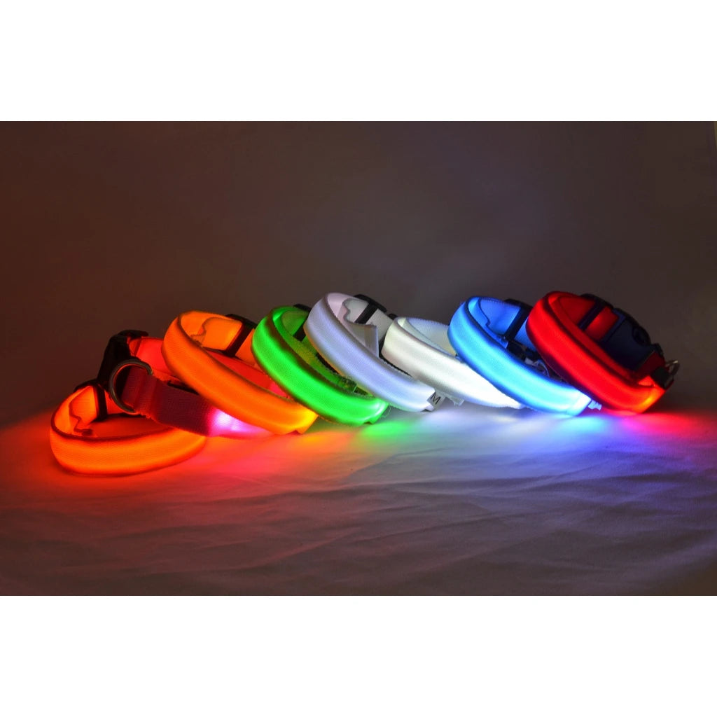 NightSafe™ Coleira LED de Segurança para Cães – Alta Visibilidade Noturna