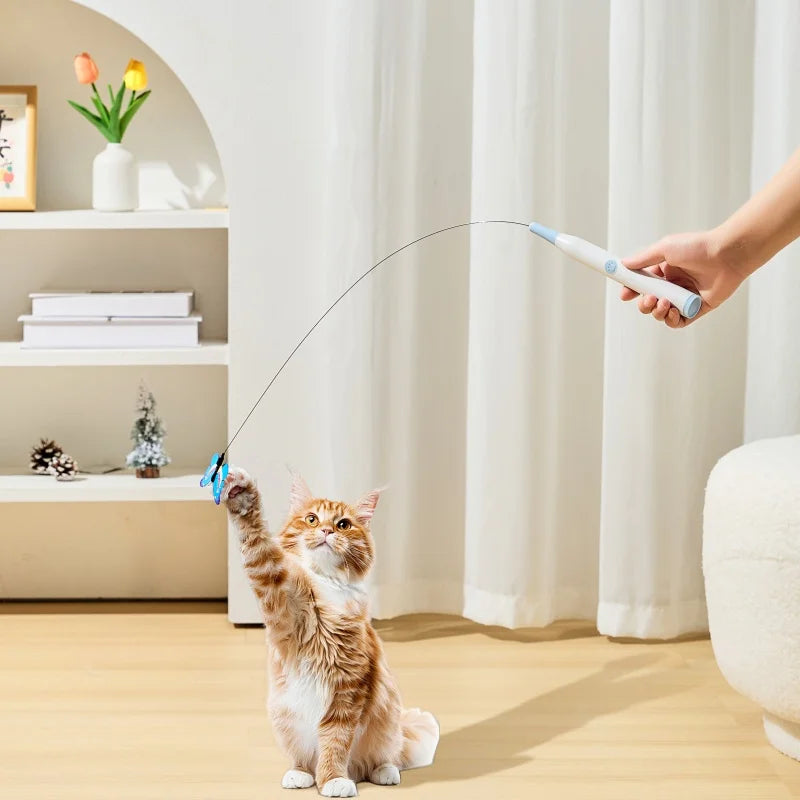 AutoHunt usado na mão como varinha para brincar com o gato