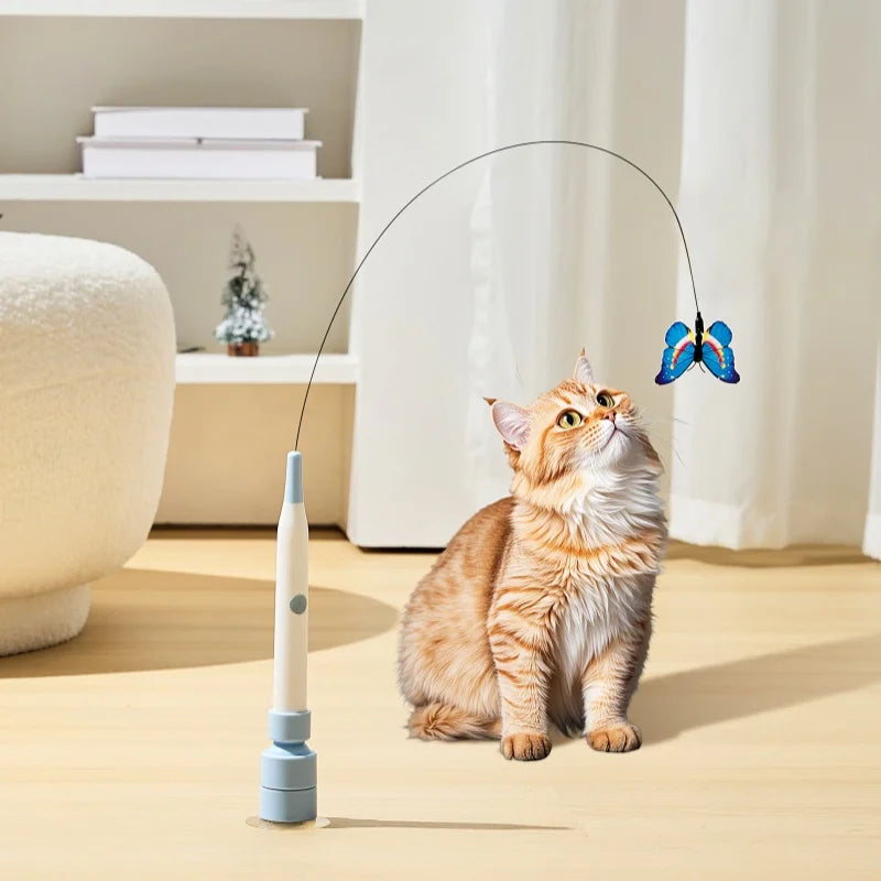 Gato sentado a observar a borboleta do AutoHunt na sala
