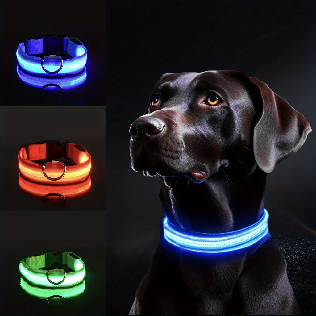NightSafe™ Coleira LED de Segurança para Cães – Alta Visibilidade Noturna