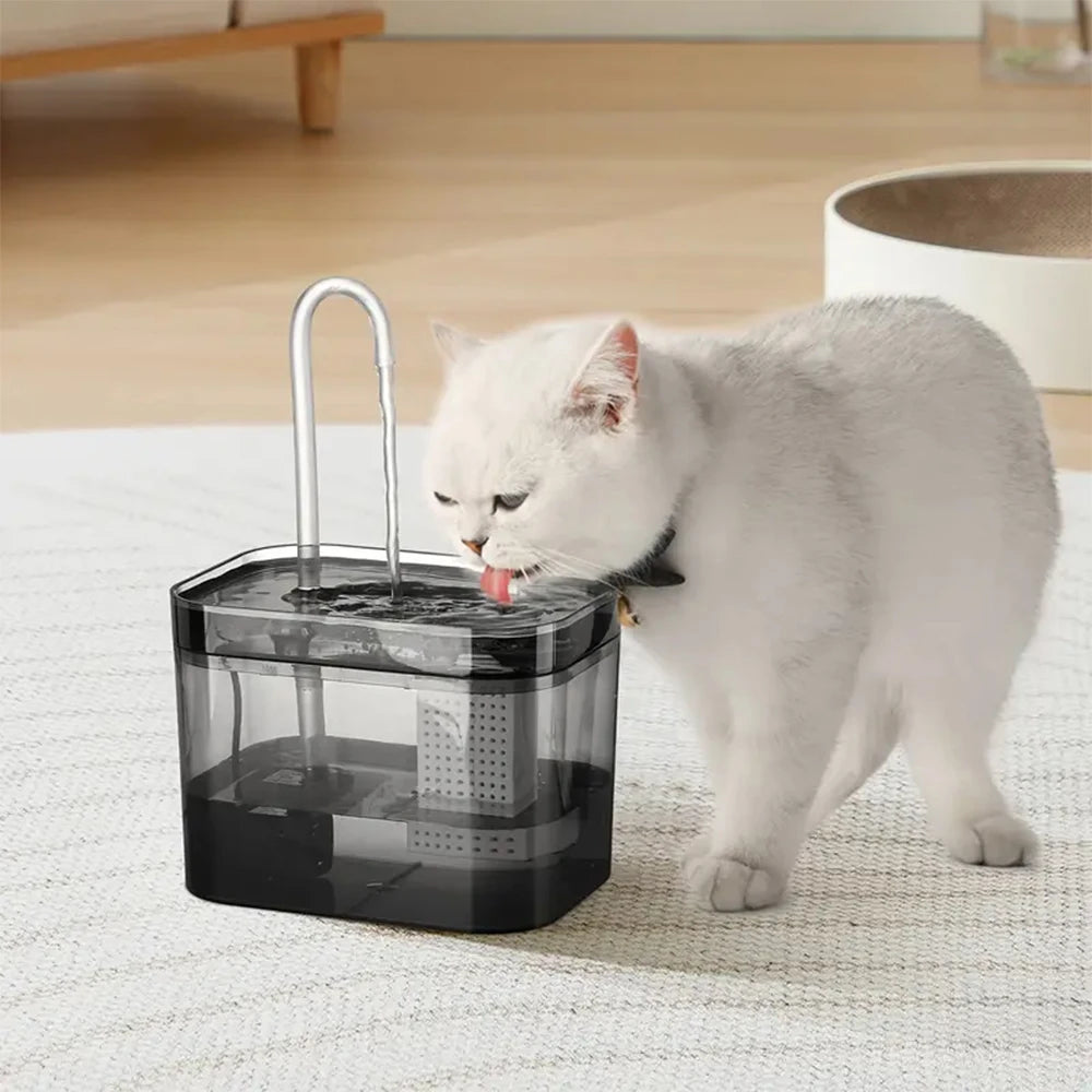 Gato branco a beber na fonte de água FreshFlow