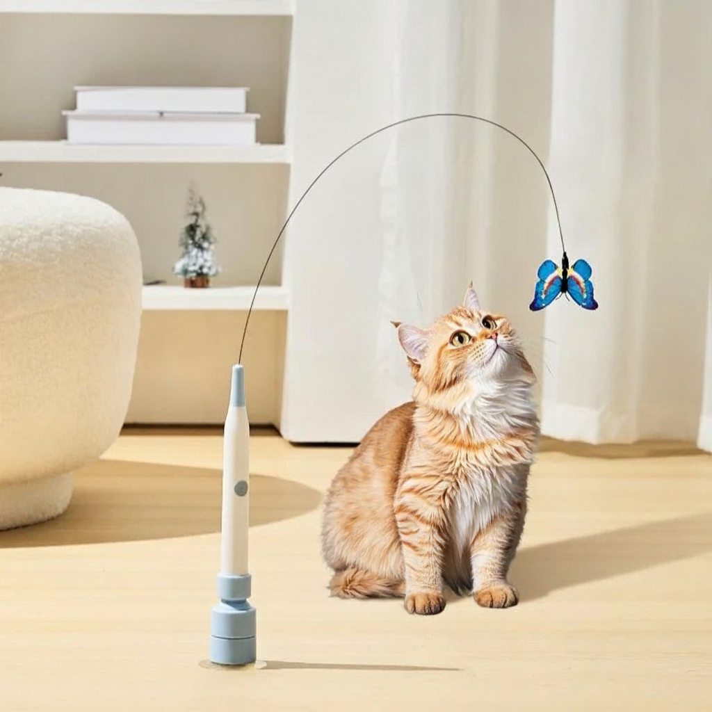 Gato a olhar para a borboleta do brinquedo AutoHunt fixado ao chão