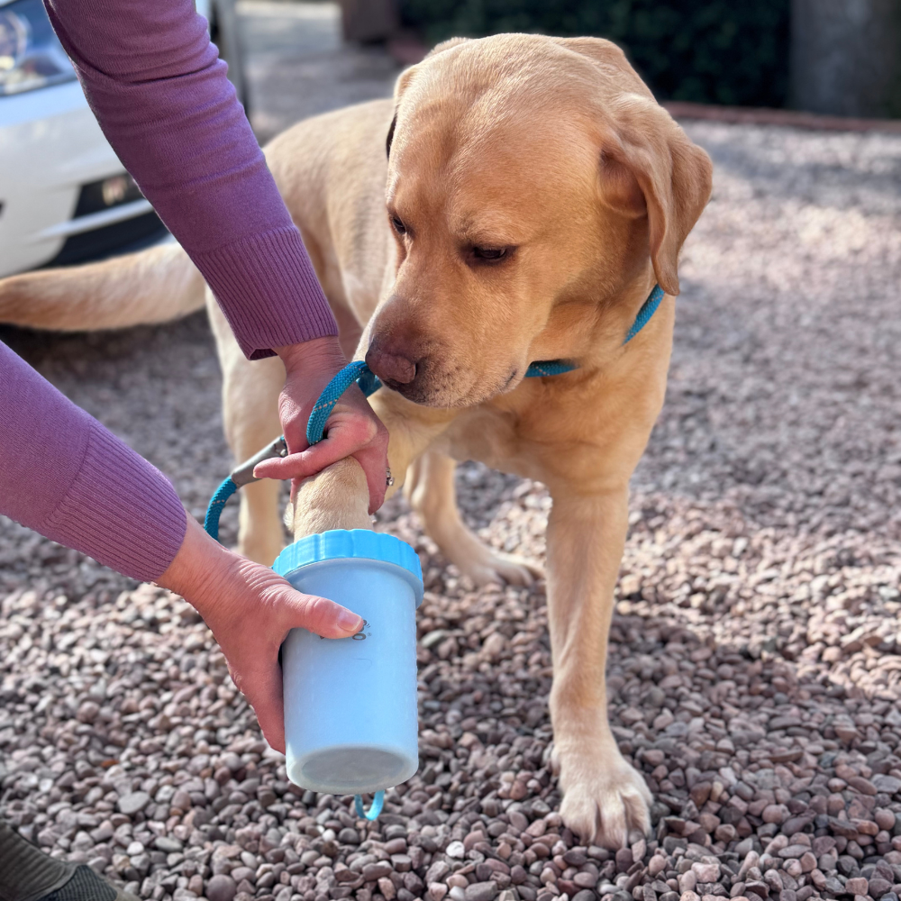 PawClean Pro™ Limpador de Patas para Cães com Escova de Silicone