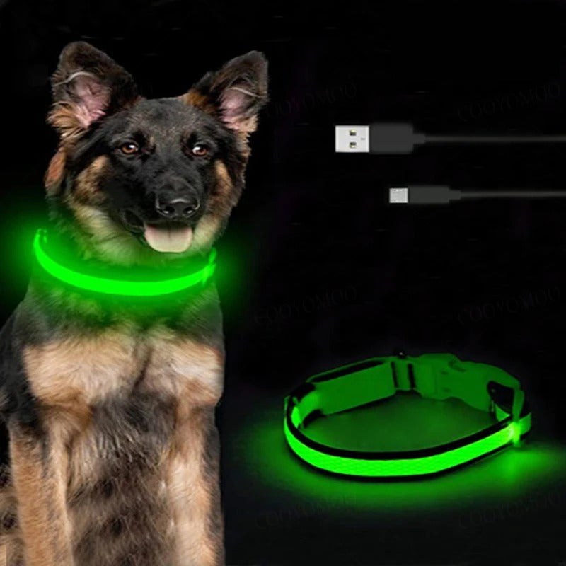 Cão com a coleira NightSafe verde acesa, ao lado da coleira e do cabo USB