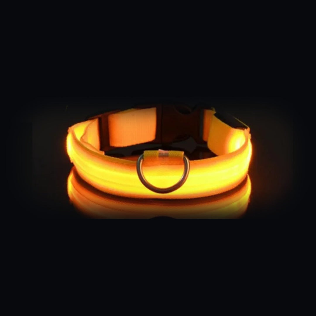 Coleira NightSafe amarela com a luz acesa