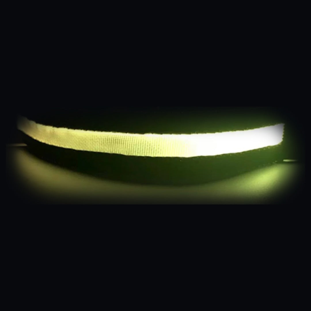 Coleira NightSafe preta com a luz acesa