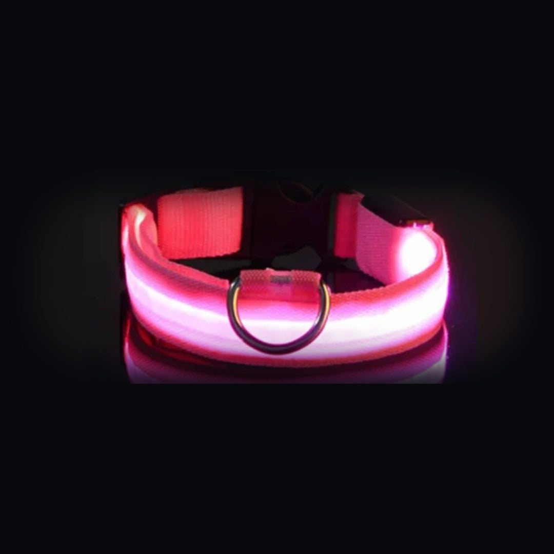 Coleira NightSafe rosa com a luz acesa
