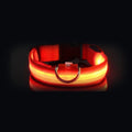 Coleira NightSafe vermelha com a luz acesa