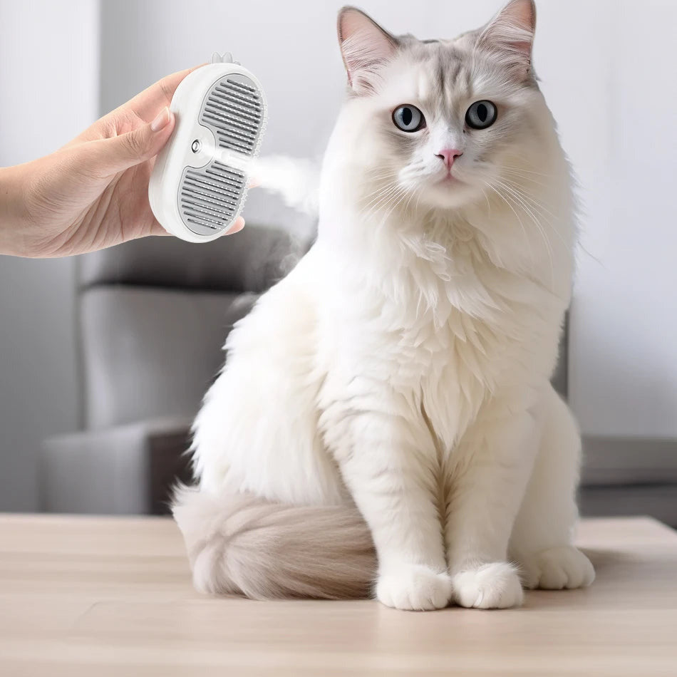 Gato branco de pelo comprido a ser escovado com a névoa da SteamPaw ligada