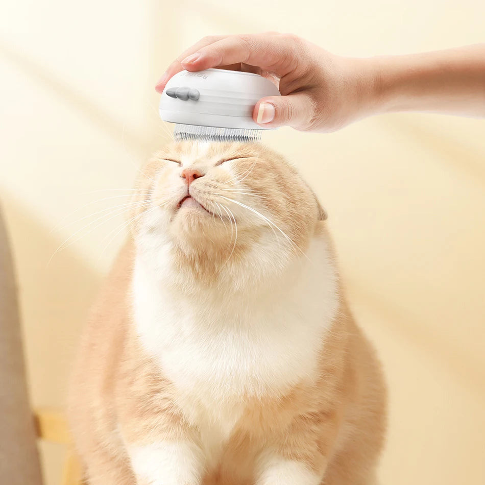 Gato de olhos fechados a ser escovado na cabeça com a escova SteamPaw